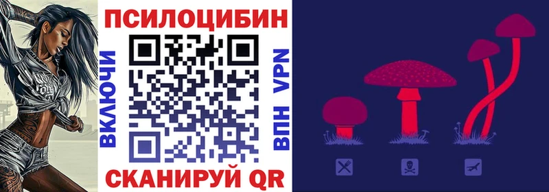 Галлюциногенные грибы Cubensis Дмитровск